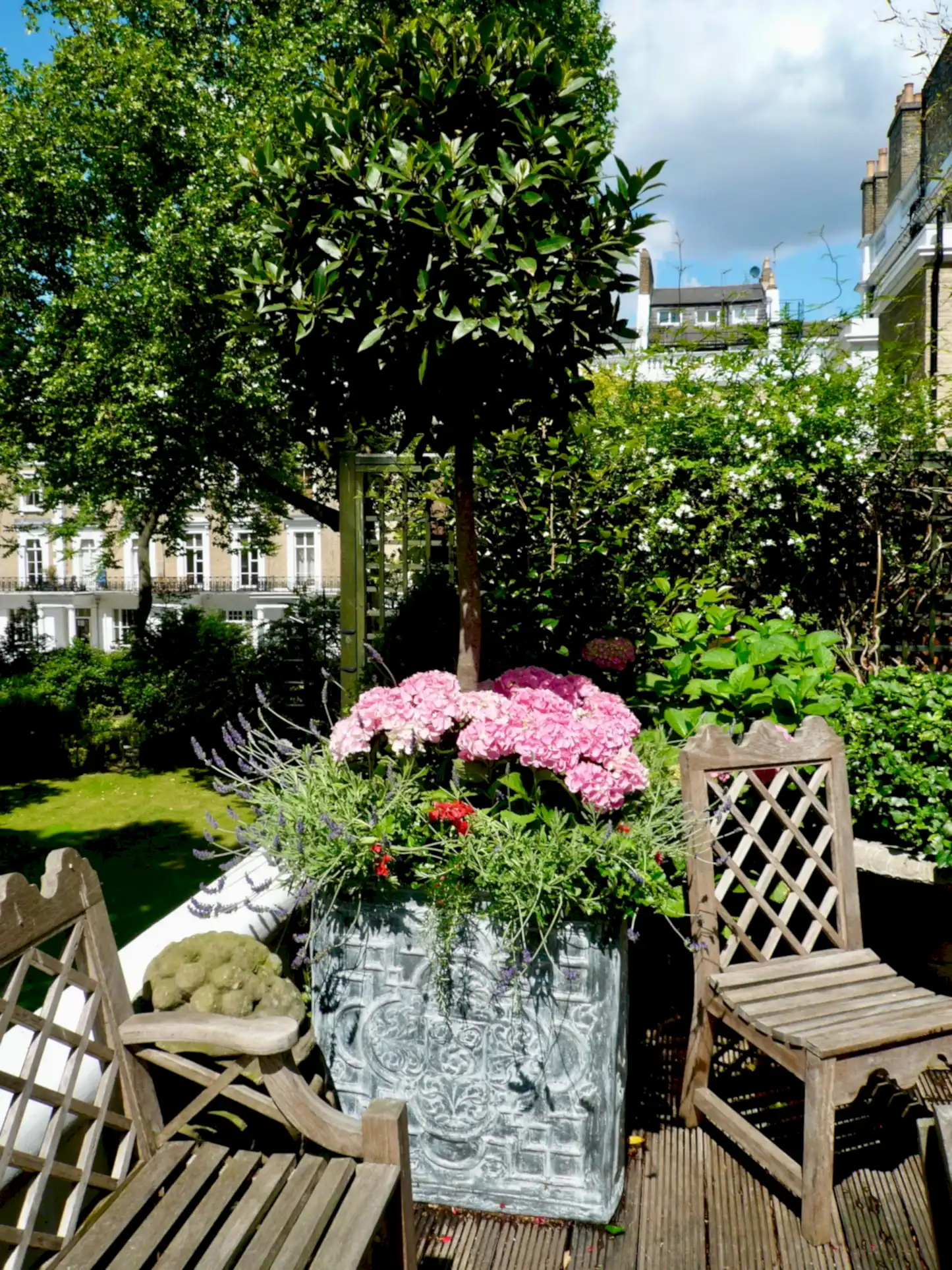 Terrace plants