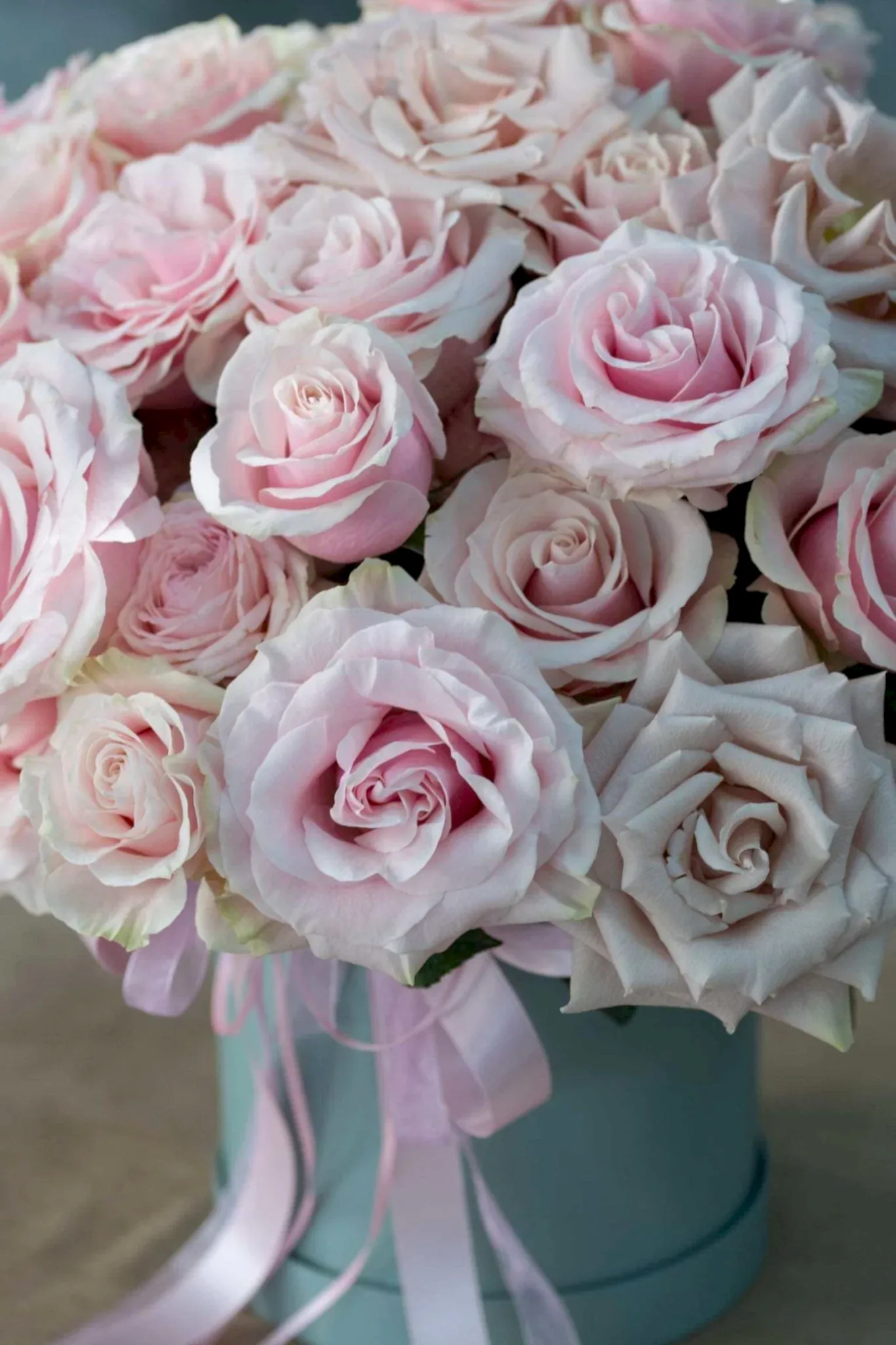 Blush Pink Roses Presented in a Hatbox - Pulbrook and Gould Flowers London