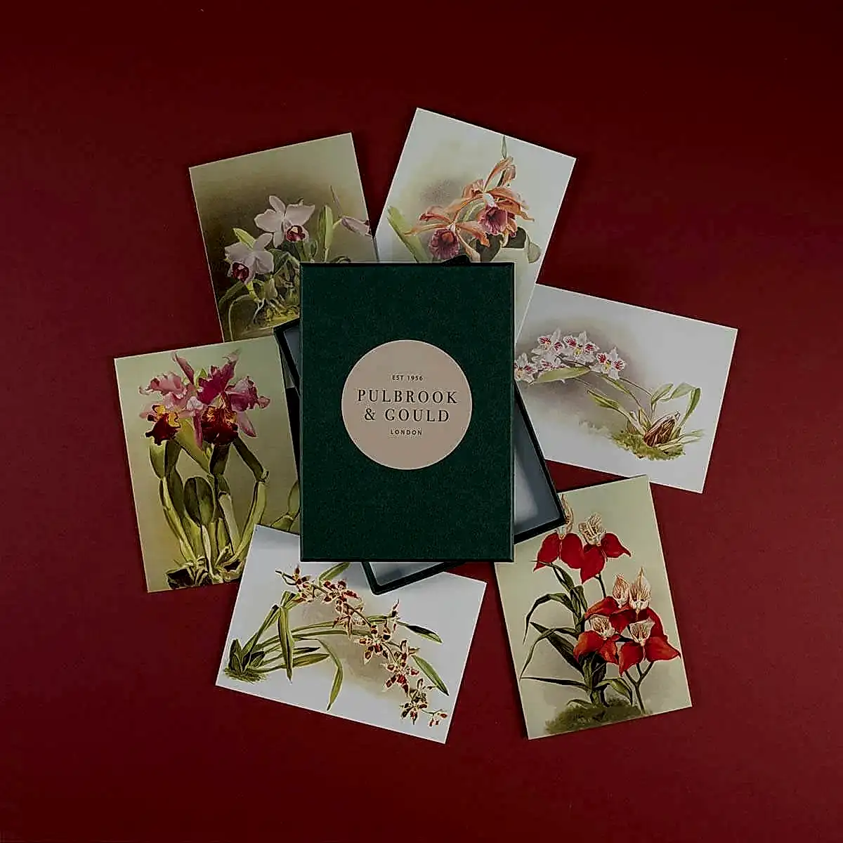 Gift card Box set - Orchids - Pulbrook and Gould Flowers London