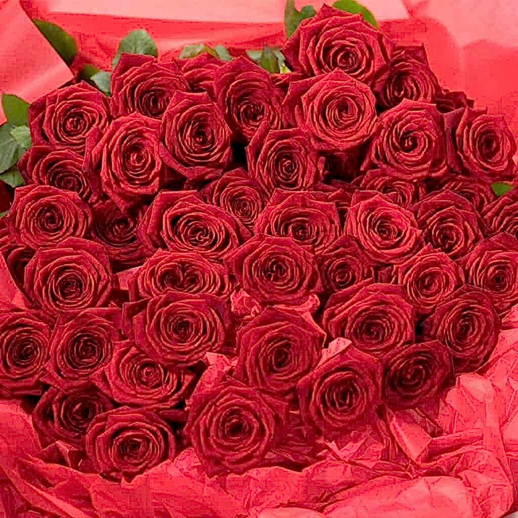 Long Stemmed Red Roses - Pulbrook and Gould Flowers London