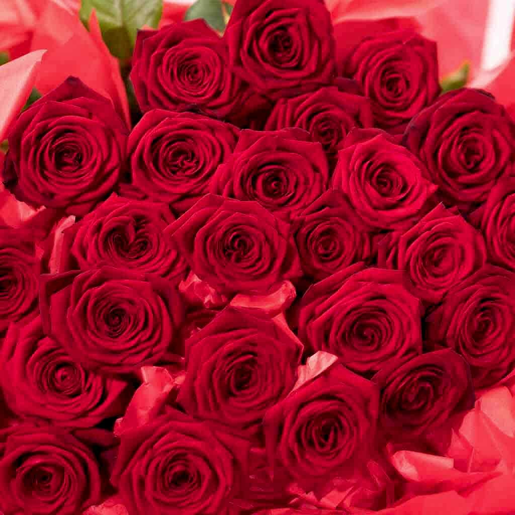 Long Stemmed Red Roses - Pulbrook and Gould Flowers London