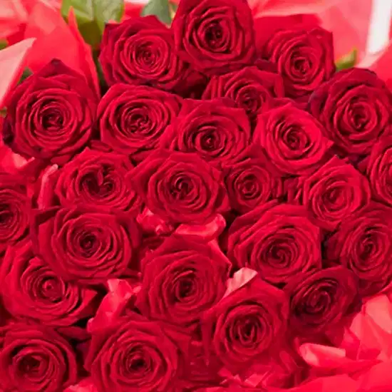 Long Stemmed Red Roses - Pulbrook and Gould Flowers London