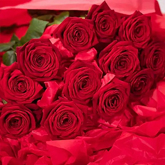 Long Stemmed Red Roses - Pulbrook and Gould Flowers London