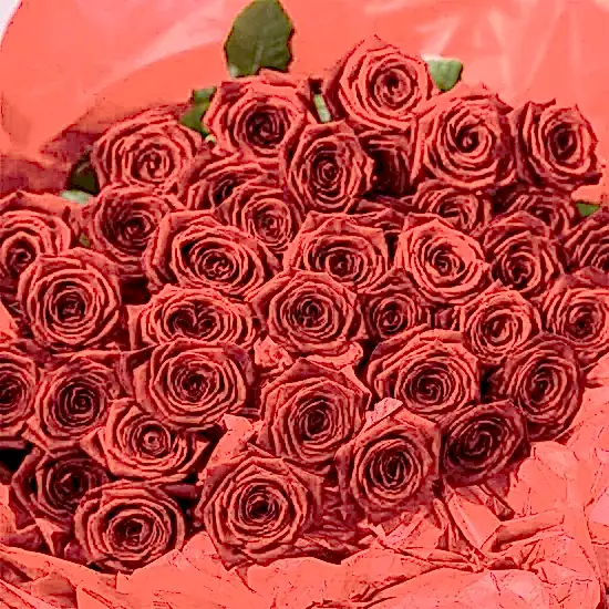 Long Stemmed Red Roses - Pulbrook and Gould Flowers London