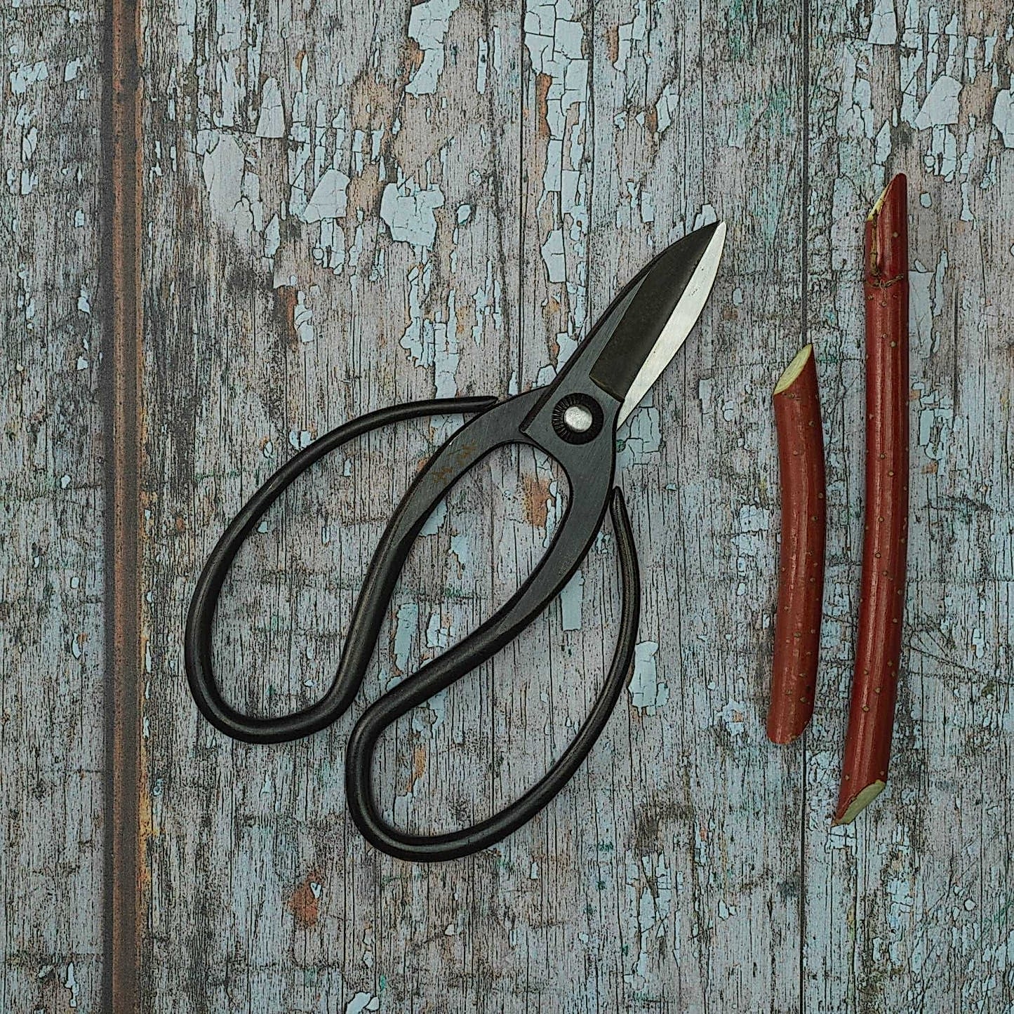 Sentei Garden Scissors - Pulbrook and Gould Flowers London