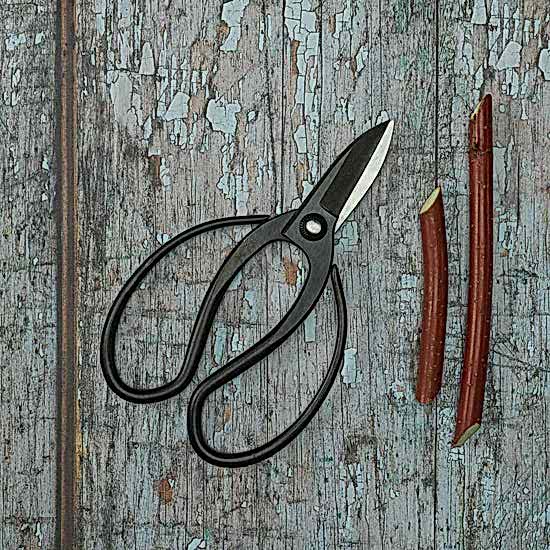 Sentei Garden Scissors - Pulbrook and Gould Flowers London