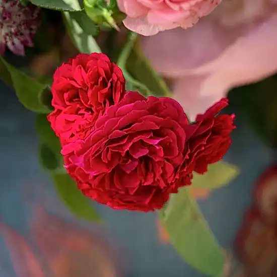 The Lady Pulbrook Hatbox - Pulbrook and Gould Flowers London