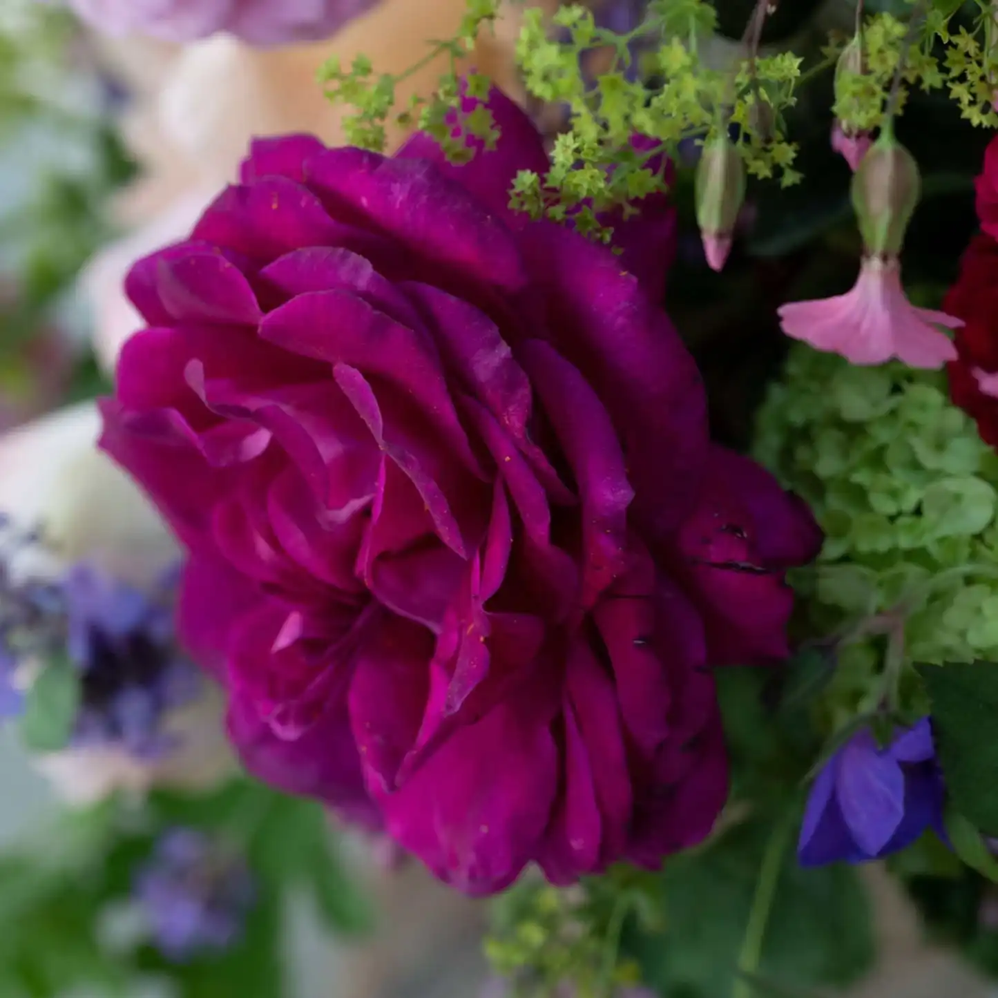 The Lady Pulbrook Hatbox - Pulbrook and Gould Flowers London