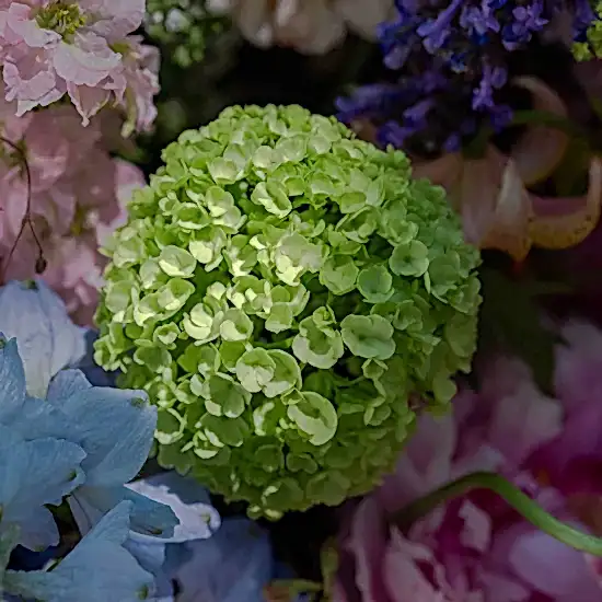 The Lady Pulbrook Hatbox - Pulbrook and Gould Flowers London