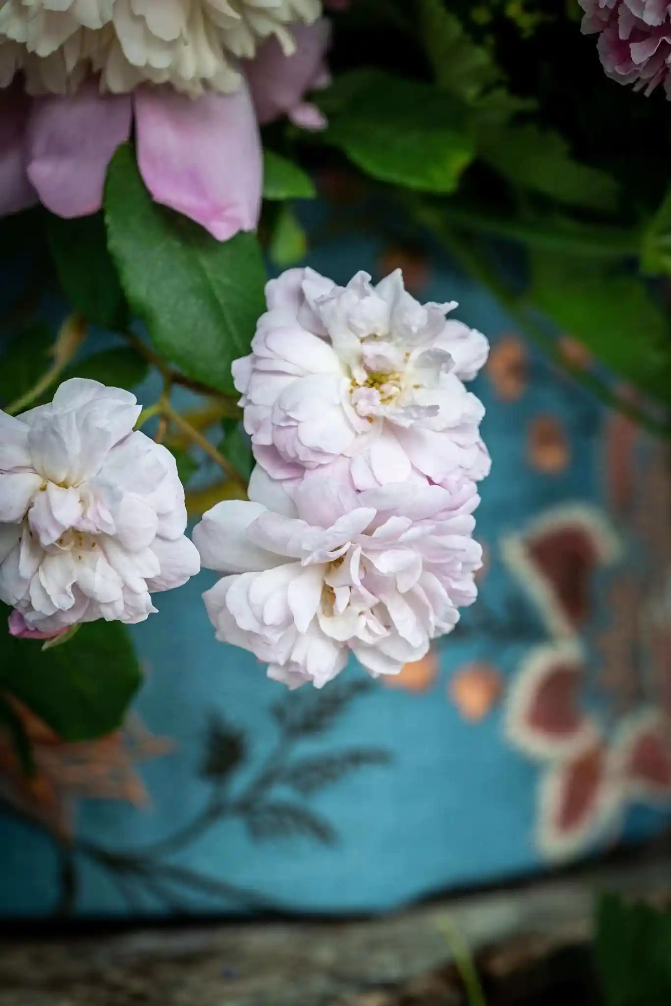 The Lady Pulbrook Hatbox - Pulbrook and Gould Flowers London